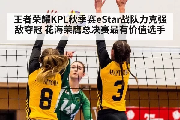 王者荣耀KPL秋季赛eStar战队力克强敌夺冠 花海荣膺总决赛最有价值选手